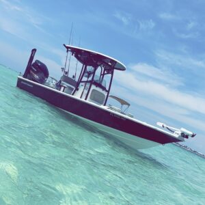 Book Your Trip